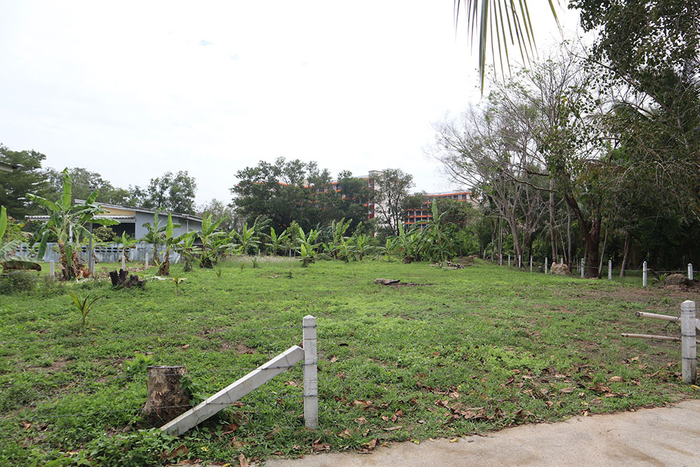 ที่ดินหาดไม้ขาว จังหวัดภูเก็ต